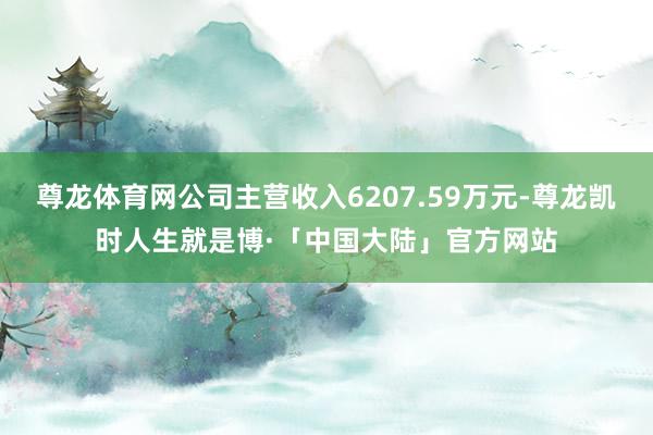 尊龙体育网公司主营收入6207.59万元-尊龙凯时人生就是博·「中国大陆」官方网站