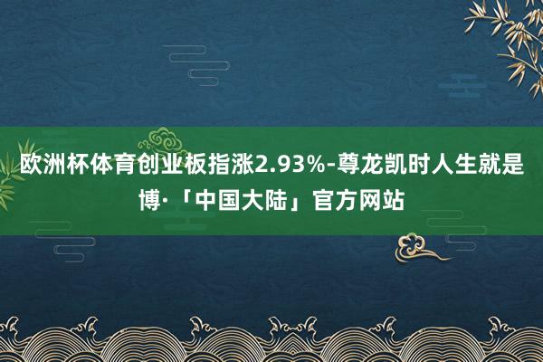 欧洲杯体育创业板指涨2.93%-尊龙凯时人生就是博·「中国大陆」官方网站