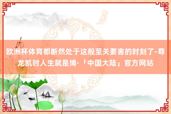 欧洲杯体育都断然处于这般至关要害的时刻了-尊龙凯时人生就是博·「中国大陆」官方网站