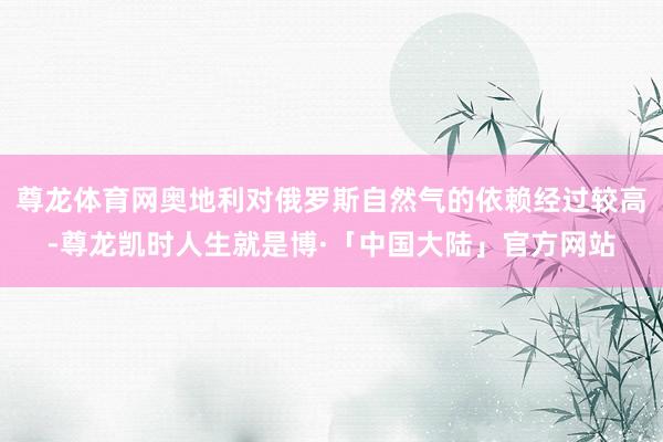 尊龙体育网奥地利对俄罗斯自然气的依赖经过较高-尊龙凯时人生就是博·「中国大陆」官方网站