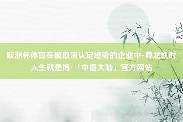 欧洲杯体育在被取消认定经验的企业中-尊龙凯时人生就是博·「中国大陆」官方网站
