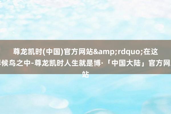 尊龙凯时(中国)官方网站&rdquo;在这群候鸟之中-尊龙凯时人生就是博·「中国大陆」官方网站