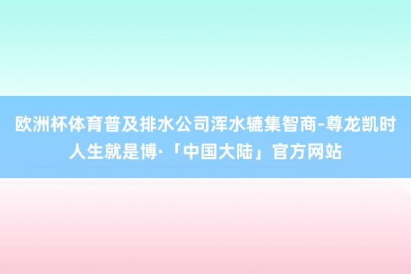 欧洲杯体育普及排水公司浑水辘集智商-尊龙凯时人生就是博·「中国大陆」官方网站