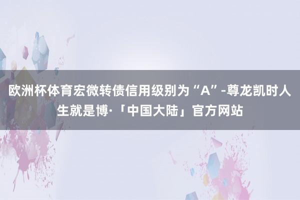 欧洲杯体育宏微转债信用级别为“A”-尊龙凯时人生就是博·「中国大陆」官方网站