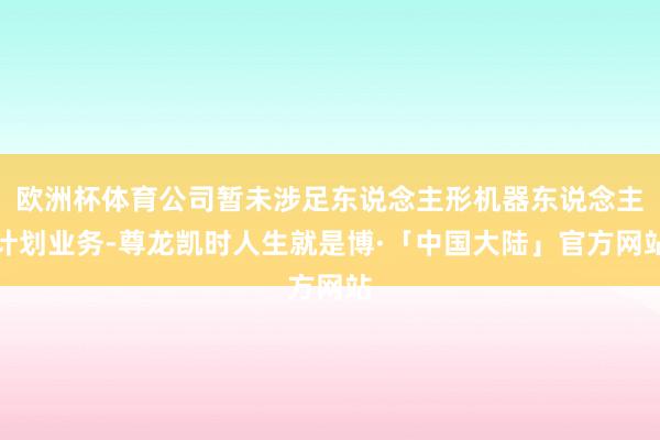 欧洲杯体育公司暂未涉足东说念主形机器东说念主计划业务-尊龙凯时人生就是博·「中国大陆」官方网站