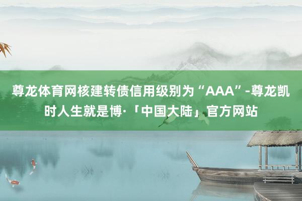 尊龙体育网核建转债信用级别为“AAA”-尊龙凯时人生就是博·「中国大陆」官方网站