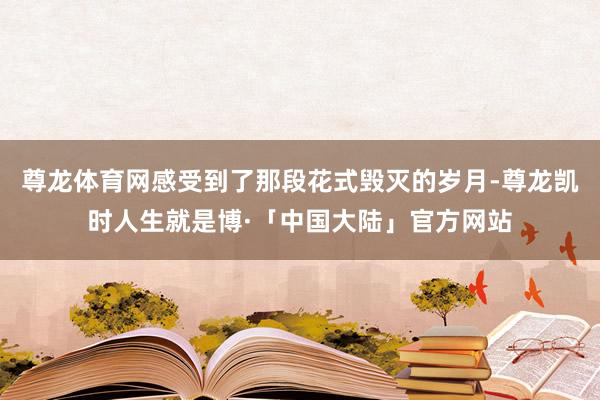 尊龙体育网感受到了那段花式毁灭的岁月-尊龙凯时人生就是博·「中国大陆」官方网站