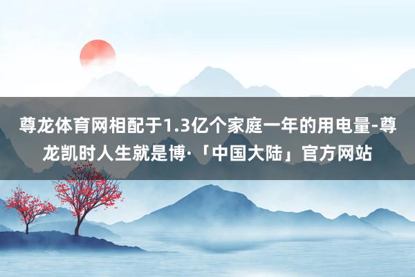 尊龙体育网相配于1.3亿个家庭一年的用电量-尊龙凯时人生就是博·「中国大陆」官方网站