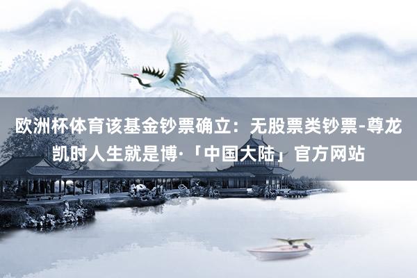 欧洲杯体育该基金钞票确立：无股票类钞票-尊龙凯时人生就是博·「中国大陆」官方网站
