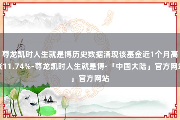 尊龙凯时人生就是博历史数据涌现该基金近1个月高涨11.74%-尊龙凯时人生就是博·「中国大陆」官方网站