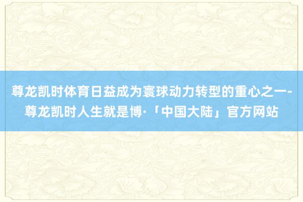 尊龙凯时体育日益成为寰球动力转型的重心之一-尊龙凯时人生就是博·「中国大陆」官方网站
