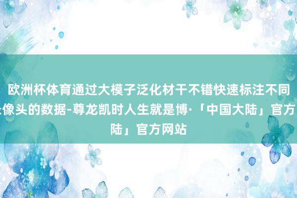 欧洲杯体育通过大模子泛化材干不错快速标注不同家录像头的数据-尊龙凯时人生就是博·「中国大陆」官方网站