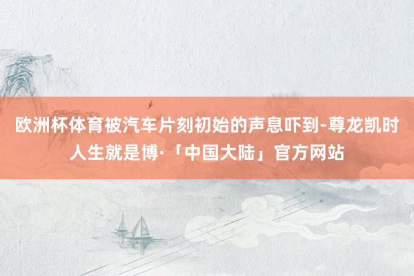 欧洲杯体育被汽车片刻初始的声息吓到-尊龙凯时人生就是博·「中国大陆」官方网站