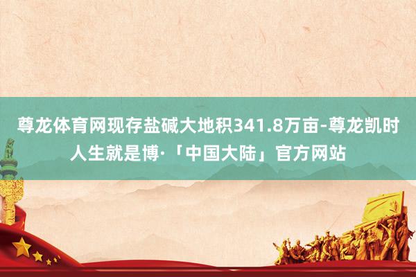 尊龙体育网现存盐碱大地积341.8万亩-尊龙凯时人生就是博·「中国大陆」官方网站