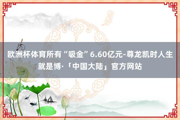 欧洲杯体育所有“吸金”6.60亿元-尊龙凯时人生就是博·「中国大陆」官方网站