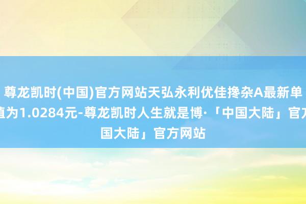 尊龙凯时(中国)官方网站天弘永利优佳搀杂A最新单元净值为1.0284元-尊龙凯时人生就是博·「中国大陆」官方网站