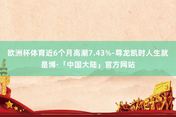 欧洲杯体育近6个月高潮7.43%-尊龙凯时人生就是博·「中国大陆」官方网站