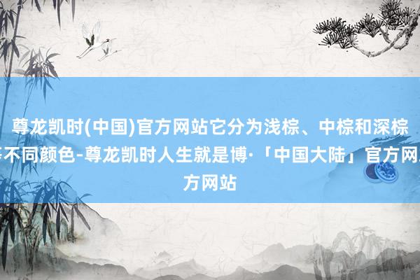 尊龙凯时(中国)官方网站它分为浅棕、中棕和深棕等不同颜色-尊龙凯时人生就是博·「中国大陆」官方网站