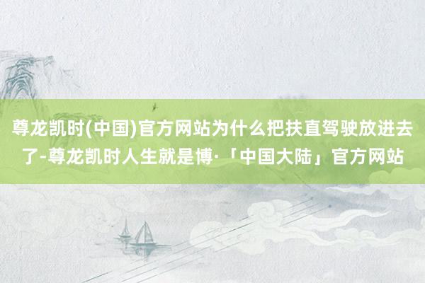 尊龙凯时(中国)官方网站为什么把扶直驾驶放进去了-尊龙凯时人生就是博·「中国大陆」官方网站