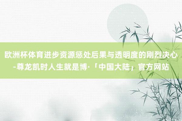 欧洲杯体育进步资源惩处后果与透明度的刚烈决心-尊龙凯时人生就是博·「中国大陆」官方网站