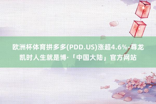 欧洲杯体育拼多多(PDD.US)涨超4.6%-尊龙凯时人生就是博·「中国大陆」官方网站