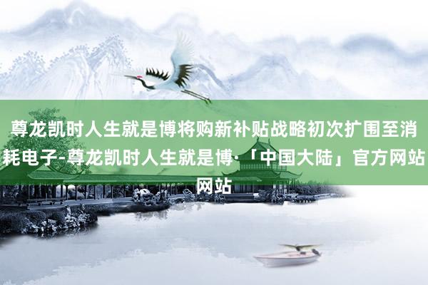 尊龙凯时人生就是博将购新补贴战略初次扩围至消耗电子-尊龙凯时人生就是博·「中国大陆」官方网站