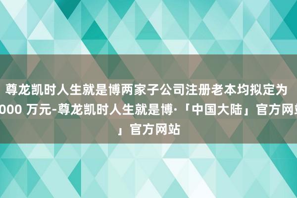 尊龙凯时人生就是博两家子公司注册老本均拟定为 2000 万元-尊龙凯时人生就是博·「中国大陆」官方网站