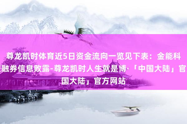 尊龙凯时体育近5日资金流向一览见下表：金能科技融资融券信息败露-尊龙凯时人生就是博·「中国大陆」官方网站