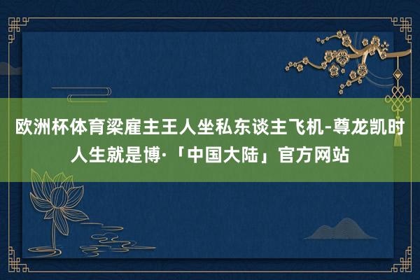 欧洲杯体育梁雇主王人坐私东谈主飞机-尊龙凯时人生就是博·「中国大陆」官方网站
