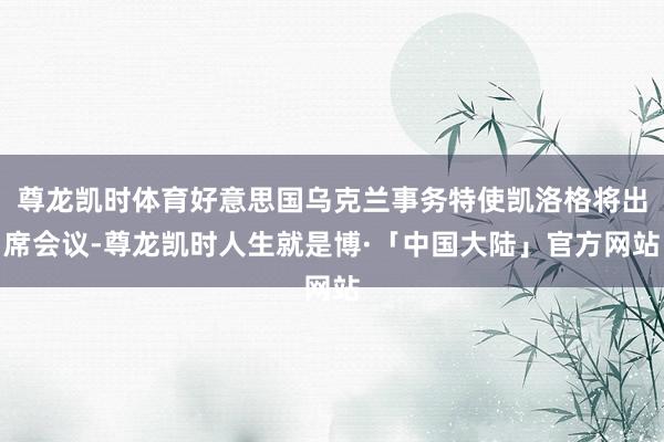 尊龙凯时体育好意思国乌克兰事务特使凯洛格将出席会议-尊龙凯时人生就是博·「中国大陆」官方网站