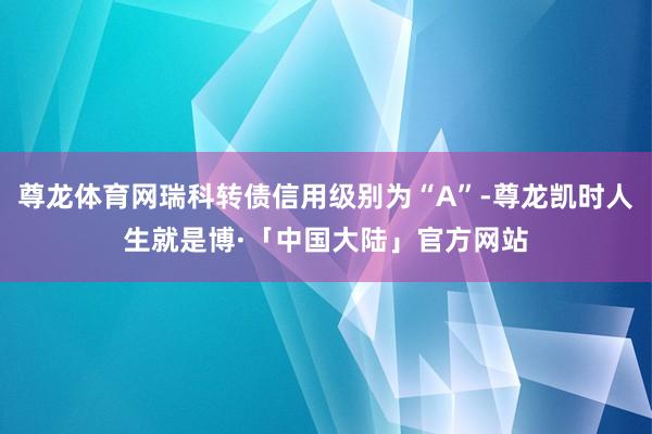 尊龙体育网瑞科转债信用级别为“A”-尊龙凯时人生就是博·「中国大陆」官方网站