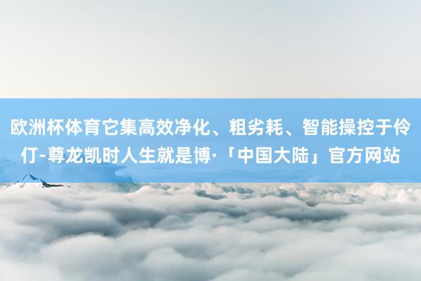 欧洲杯体育它集高效净化、粗劣耗、智能操控于伶仃-尊龙凯时人生就是博·「中国大陆」官方网站