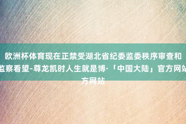 欧洲杯体育现在正禁受湖北省纪委监委秩序审查和监察看望-尊龙凯时人生就是博·「中国大陆」官方网站