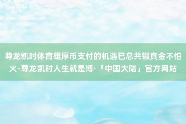 尊龙凯时体育雄厚币支付的机遇已总共锻真金不怕火-尊龙凯时人生就是博·「中国大陆」官方网站