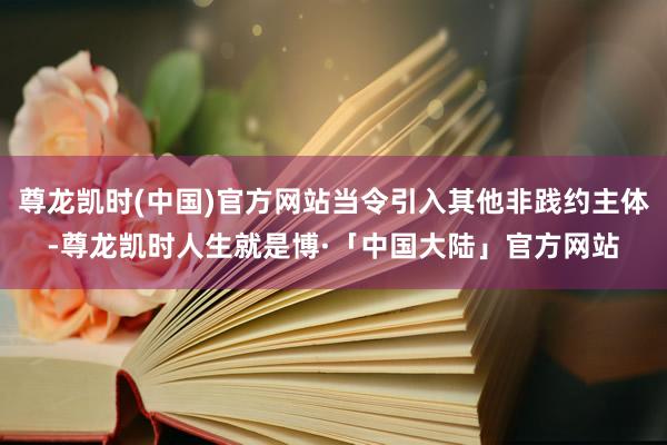 尊龙凯时(中国)官方网站当令引入其他非践约主体-尊龙凯时人生就是博·「中国大陆」官方网站