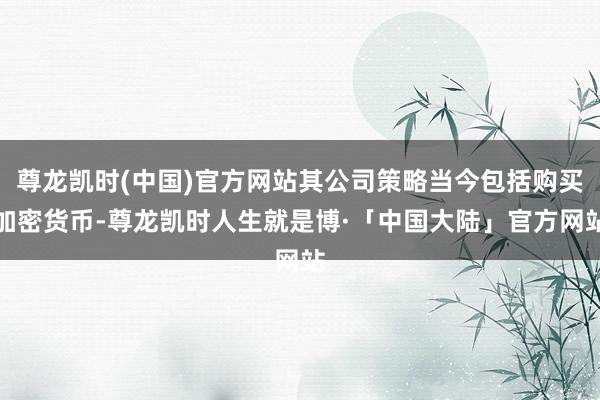 尊龙凯时(中国)官方网站其公司策略当今包括购买加密货币-尊龙凯时人生就是博·「中国大陆」官方网站