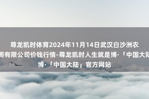 尊龙凯时体育2024年11月14日武汉白沙洲农副居品大阛阓有限公司价钱行情-尊龙凯时人生就是博·「中国大陆」官方网站