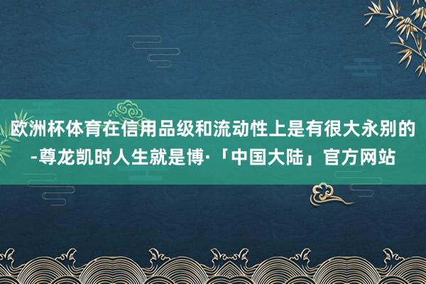 欧洲杯体育在信用品级和流动性上是有很大永别的-尊龙凯时人生就是博·「中国大陆」官方网站