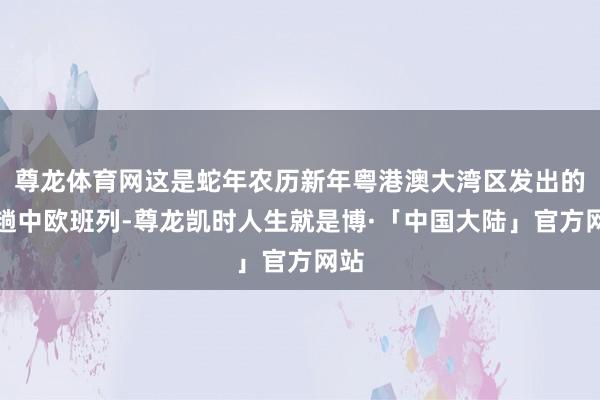 尊龙体育网这是蛇年农历新年粤港澳大湾区发出的首趟中欧班列-尊龙凯时人生就是博·「中国大陆」官方网站