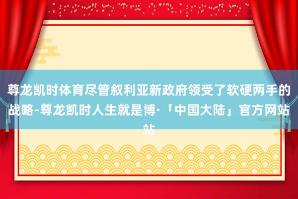尊龙凯时体育尽管叙利亚新政府领受了软硬两手的战略-尊龙凯时人生就是博·「中国大陆」官方网站