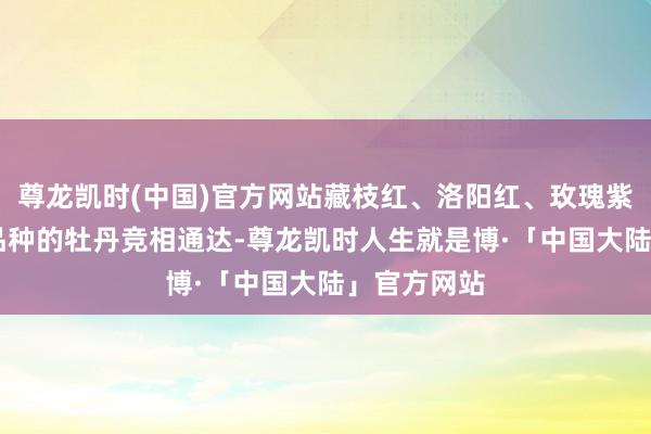 尊龙凯时(中国)官方网站藏枝红、洛阳红、玫瑰紫等40多个品种的牡丹竞相通达-尊龙凯时人生就是博·「中国大陆」官方网站