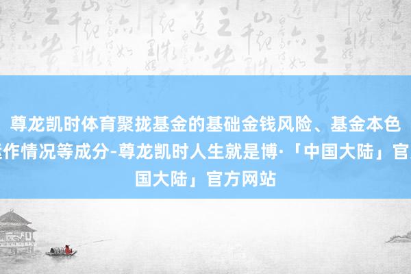 尊龙凯时体育聚拢基金的基础金钱风险、基金本色科罚运作情况等成分-尊龙凯时人生就是博·「中国大陆」官方网站